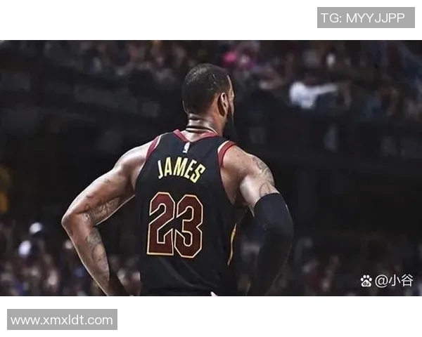 马布里在篮球界的影响力与成就究竟有多大值得我们深入探讨