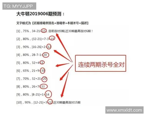 双色球杀号公式揭秘助你精准选号提升中奖概率的技巧与策略